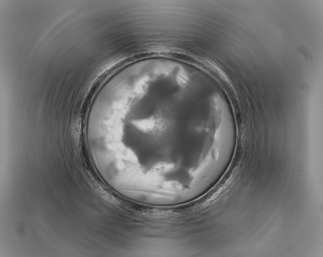 X0000113050831200909241453