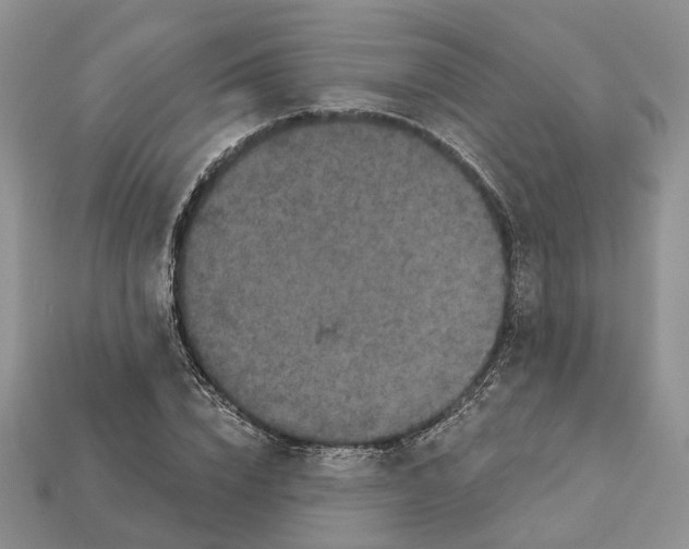 X0000113050832200909241453