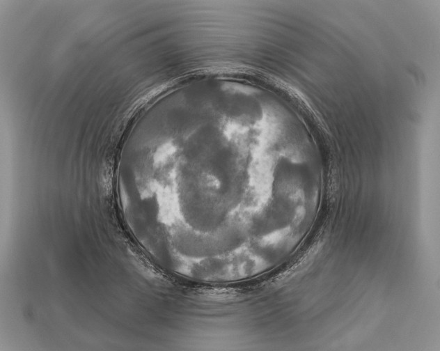 X0000113050833200909241453