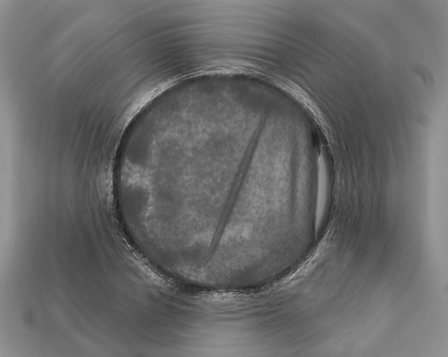 X0000113050834200909241453
