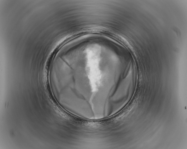X0000113050835200909241453