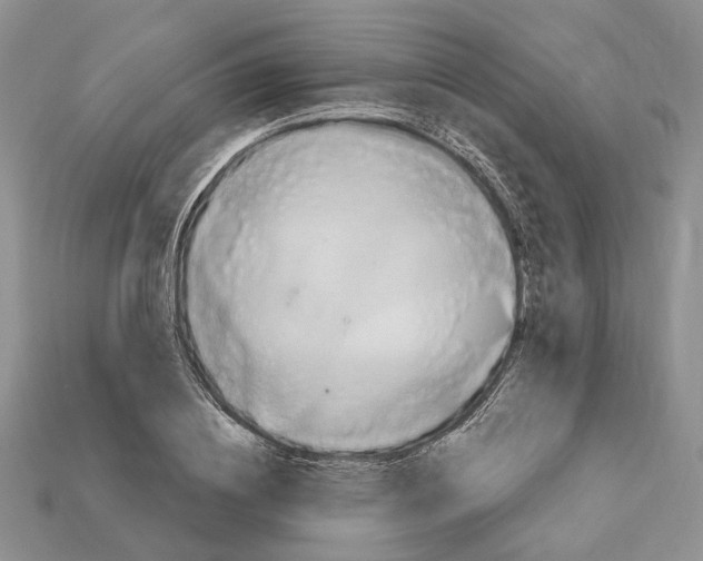 X0000113050836200909241453