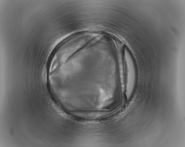 X0000113050838200909241453