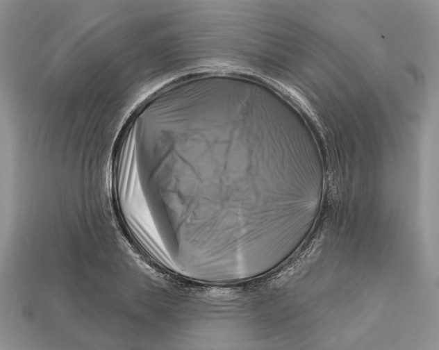 X0000113050839200909241453