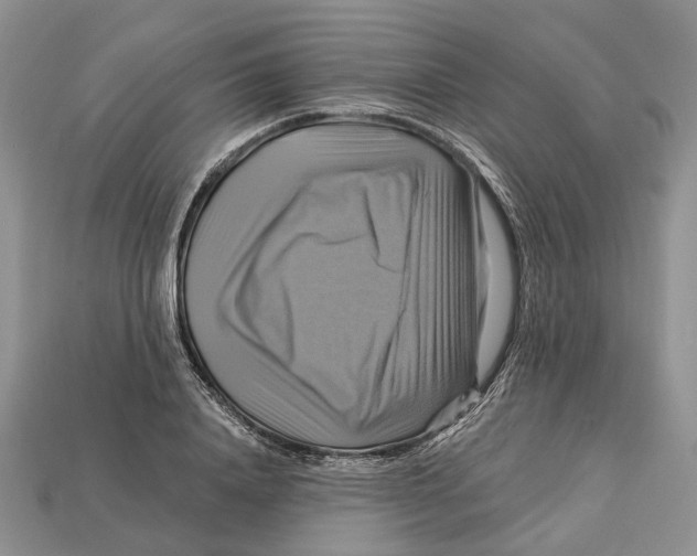 X0000113050840200909241453