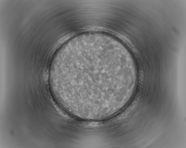 X0000113050841200909241453