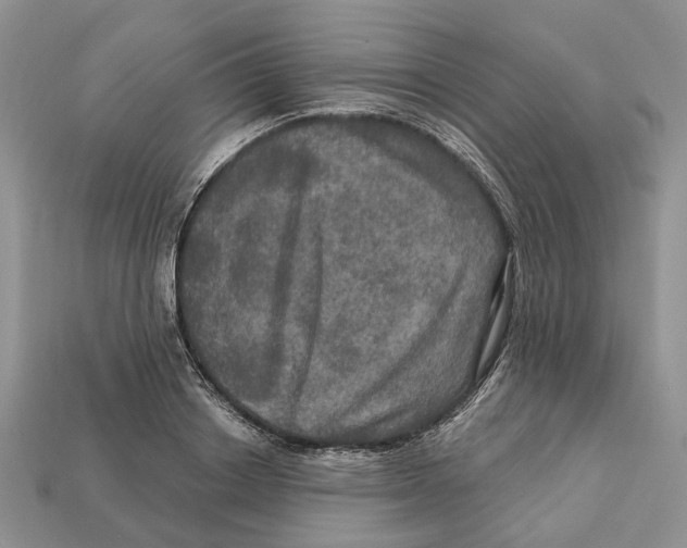 X0000113050842200909241453