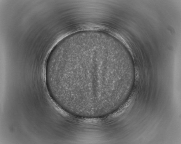 X0000113050843200909241453