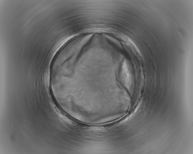 X0000113050844200909241453