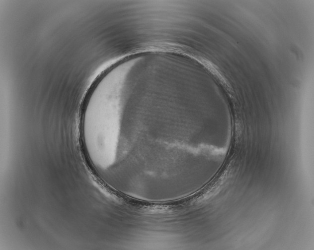 X0000113050846200909241453