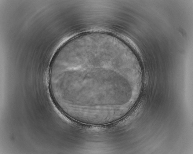 X0000113050847200909241453