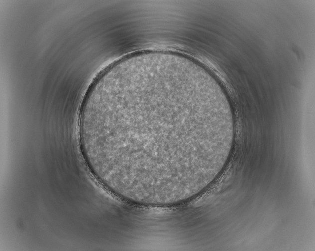 X0000113050848200909241453