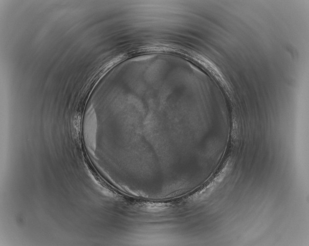X0000113050849200909241453