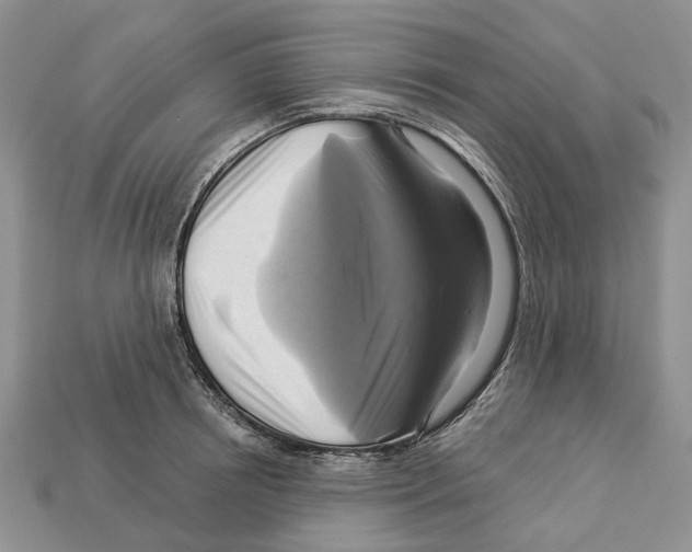 X0000113050850200909241453
