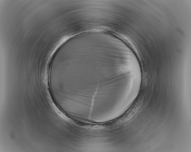 X0000113050851200909241453