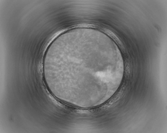 X0000113050852200909241453