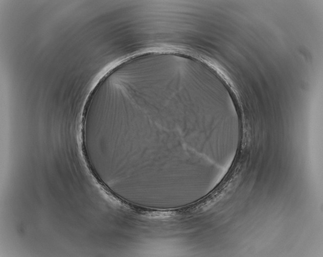 X0000113050853200909241453