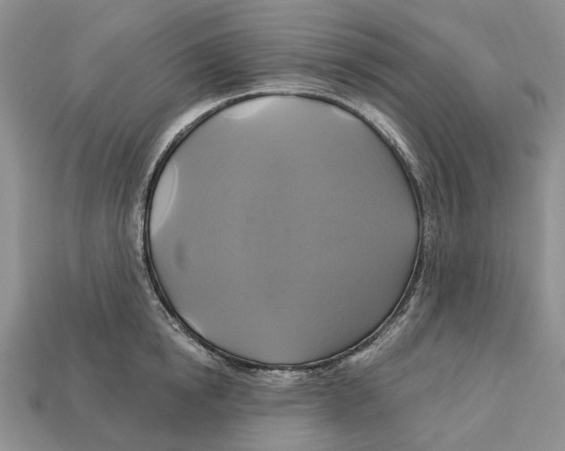 X0000113050854200909241453
