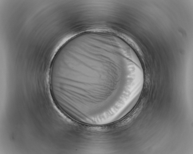 X0000113050855200909241453