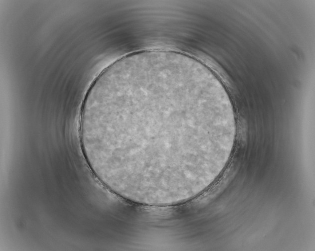 X0000113050856200909241453