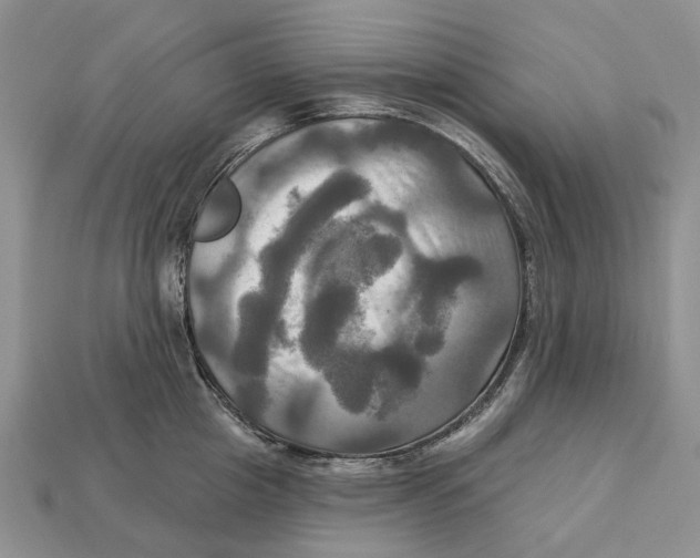 X0000113050857200909241453