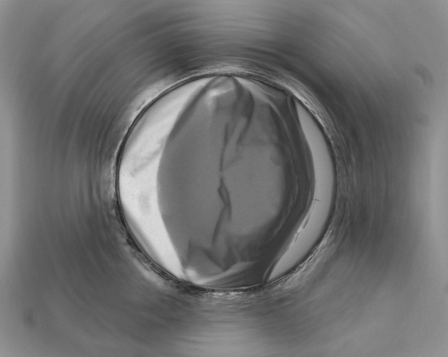 X0000113050858200909241453