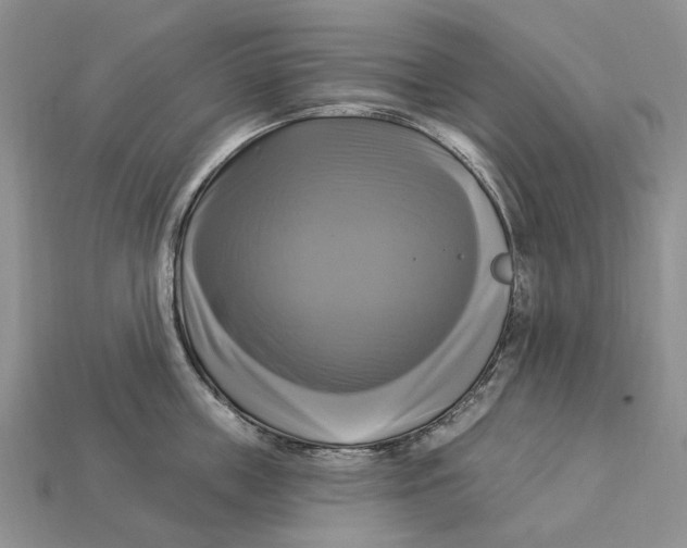X0000113050859200909241453