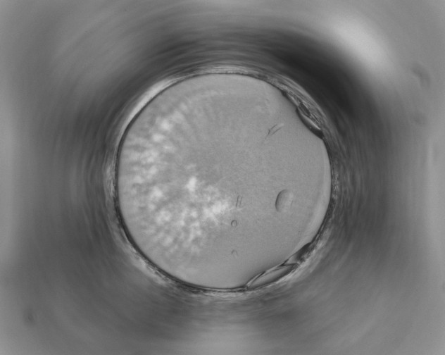 X0000113050860200909241453