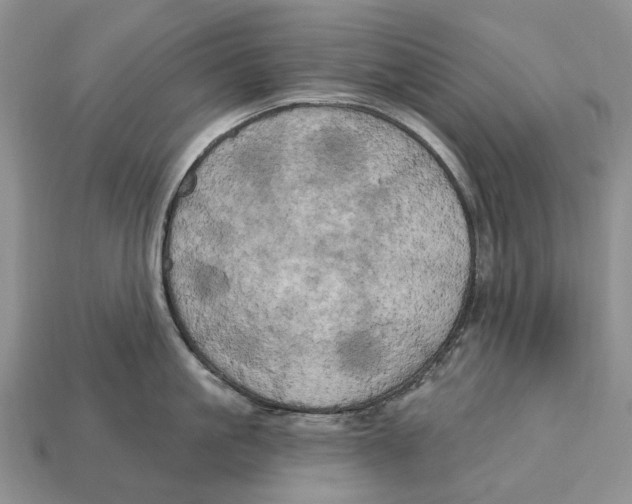 X0000113050861200909241453