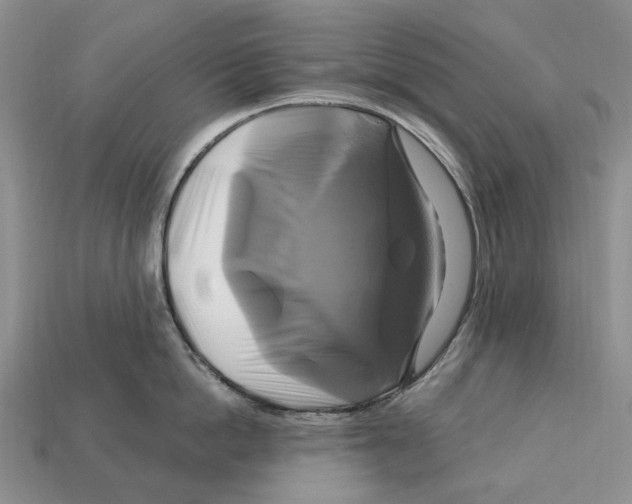 X0000113050862200909241453