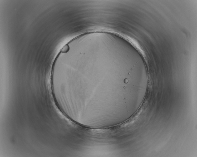 X0000113050863200909241453
