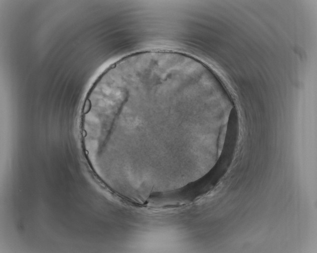 X0000113050864200909241453