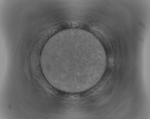 X0000113050865200909241453