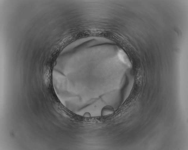 X0000113050866200909241453