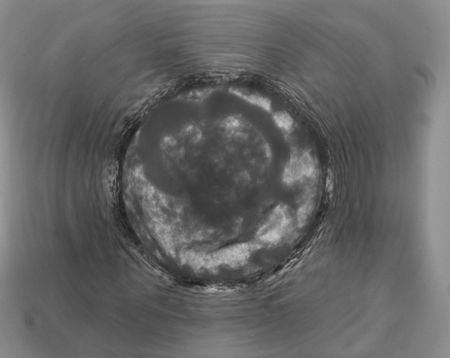 X0000113050867200909241453