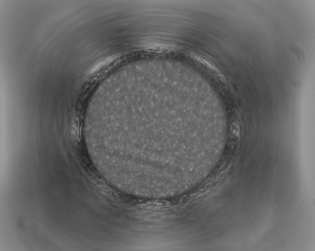 X0000113050869200909241453