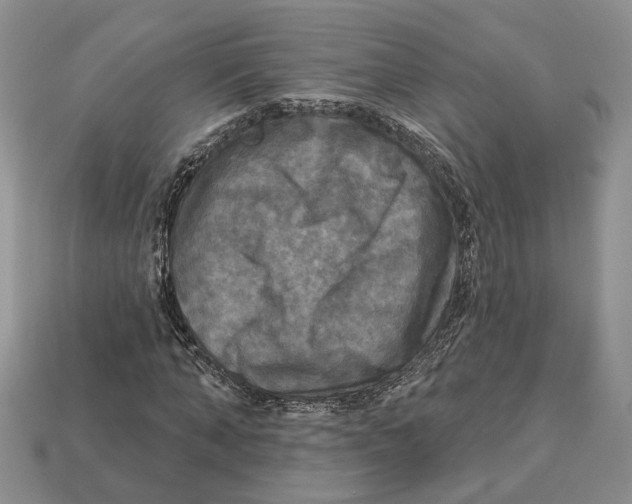 X0000113050870200909241453
