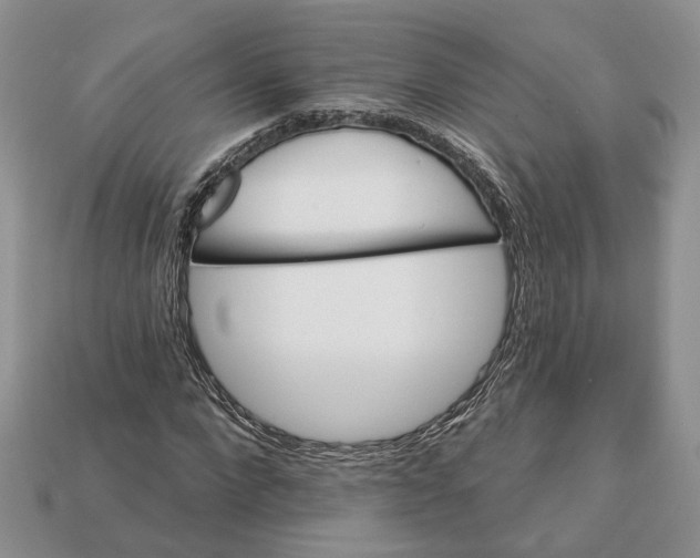 X0000113050872200909241453