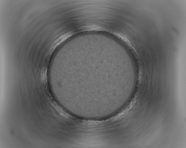 X0000113050873200909241453