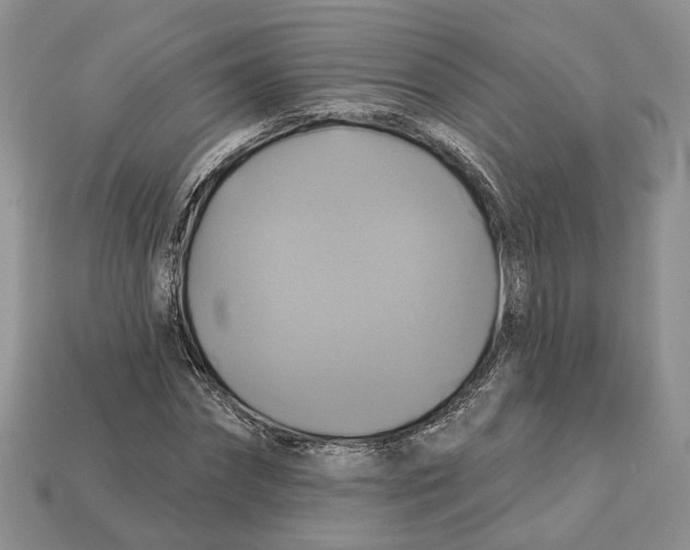X0000113050874200909241453