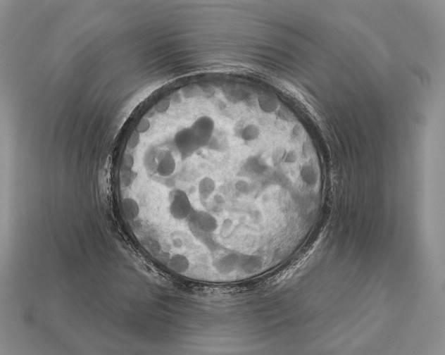 X0000113050875200909241453
