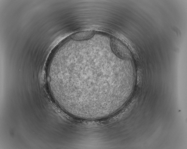 X0000113050876200909241453