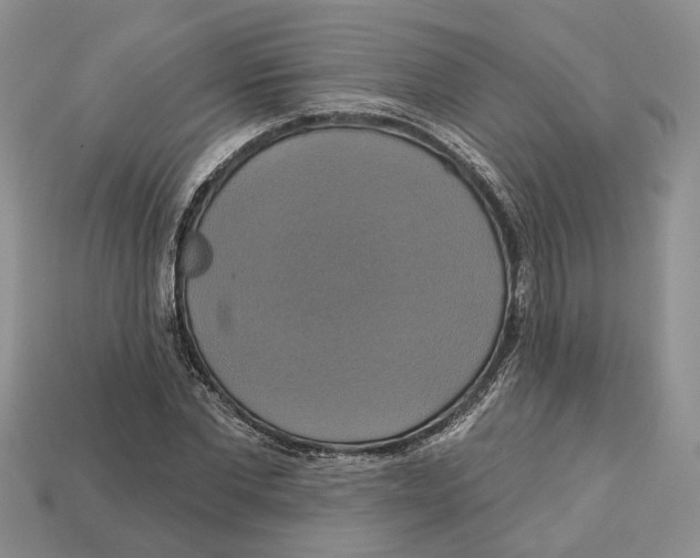 X0000113050877200909241453