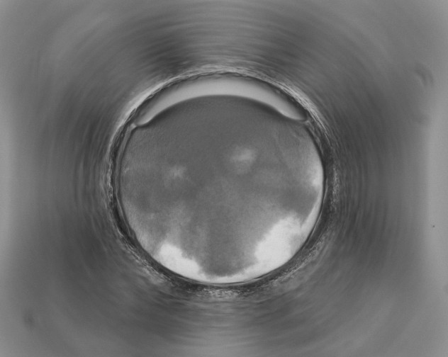 X0000113050878200909241453
