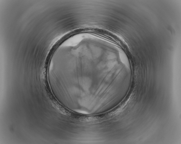 X0000113050879200909241453