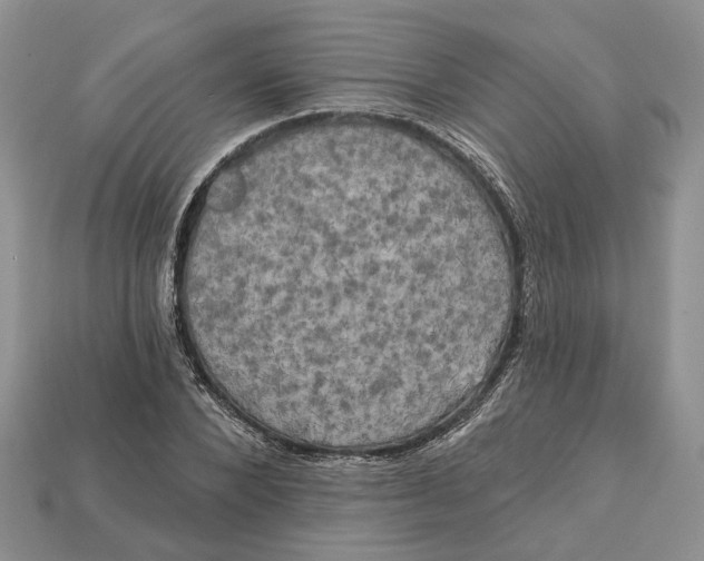 X0000113050880200909241453