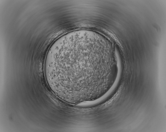 X0000113050881200909241453