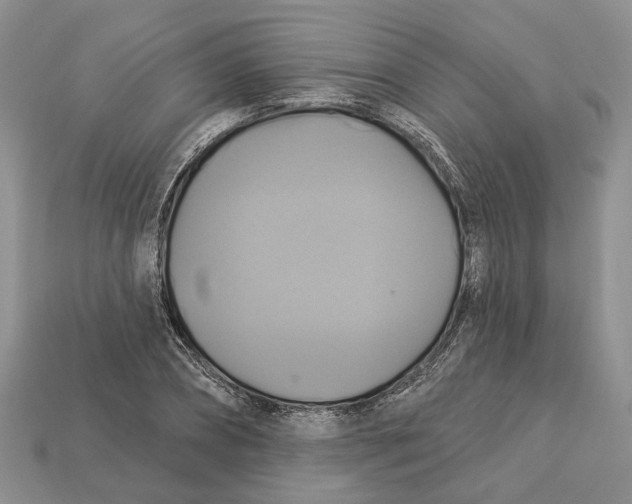X0000113050882200909241453