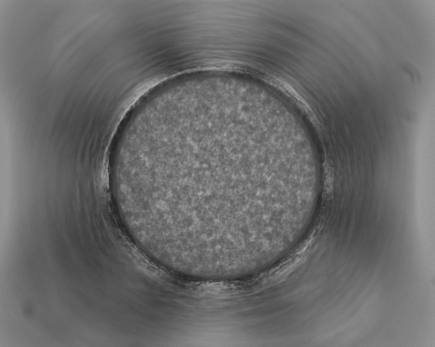 X0000113050883200909241453