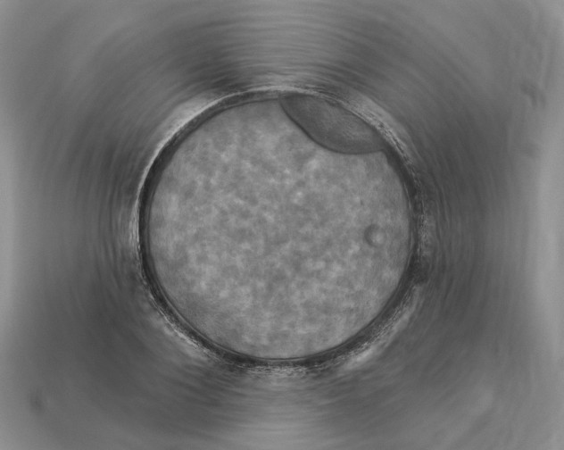 X0000113050884200909241453